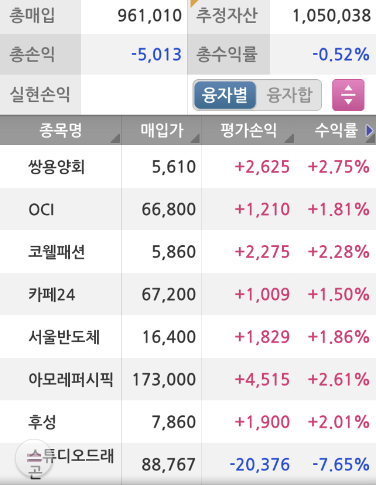 100만원 주식계좌 보유종목